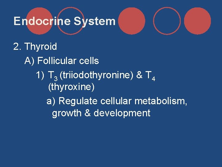 Endocrine System 2. Thyroid A) Follicular cells 1) T 3 (triiodothyronine) & T 4