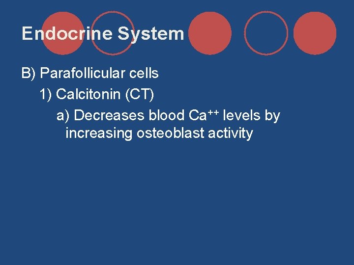 Endocrine System B) Parafollicular cells 1) Calcitonin (CT) a) Decreases blood Ca++ levels by