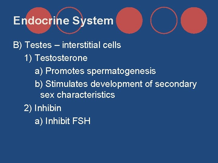 Endocrine System B) Testes – interstitial cells 1) Testosterone a) Promotes spermatogenesis b) Stimulates