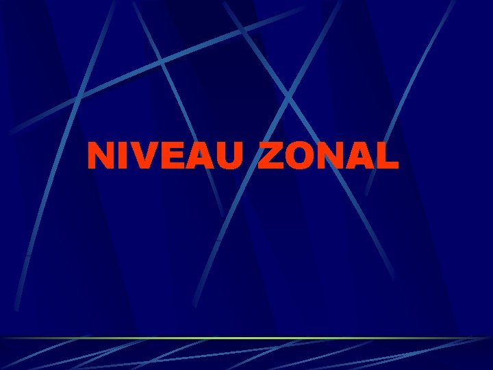 NIVEAU ZONAL NIVEAU ZONAL