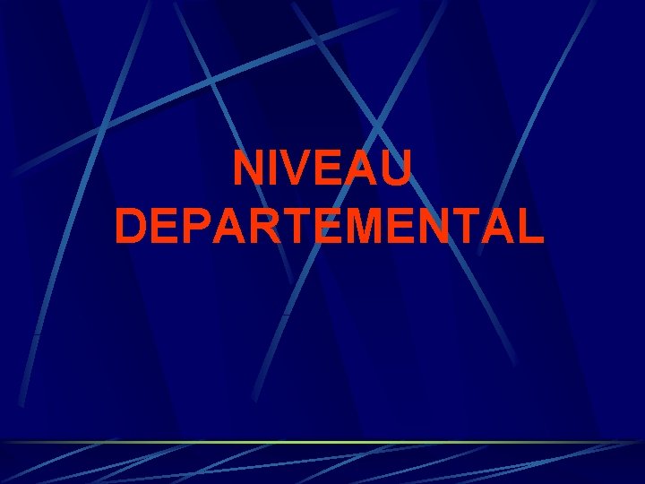 NIVEAU DEPARTEMENTAL NIVEAU DEPARTEMENTAL