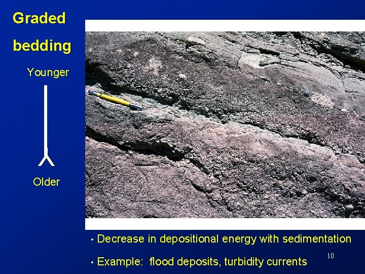 Graded bedding Younger Y Older • Decrease in depositional energy with sedimentation • Example: