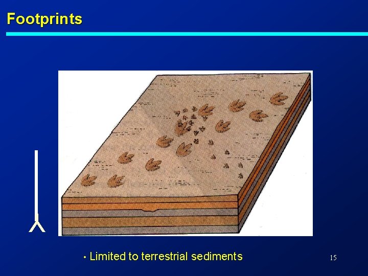 Footprints Y • Limited to terrestrial sediments 15 
