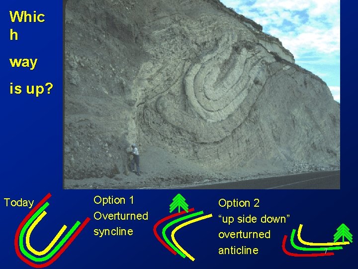 Whic h way is up? Today Option 1 Overturned syncline Option 2 “up side