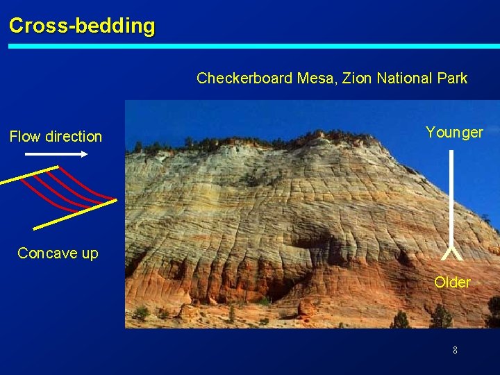 Cross-bedding Checkerboard Mesa, Zion National Park Concave up Younger Y Flow direction Older 8