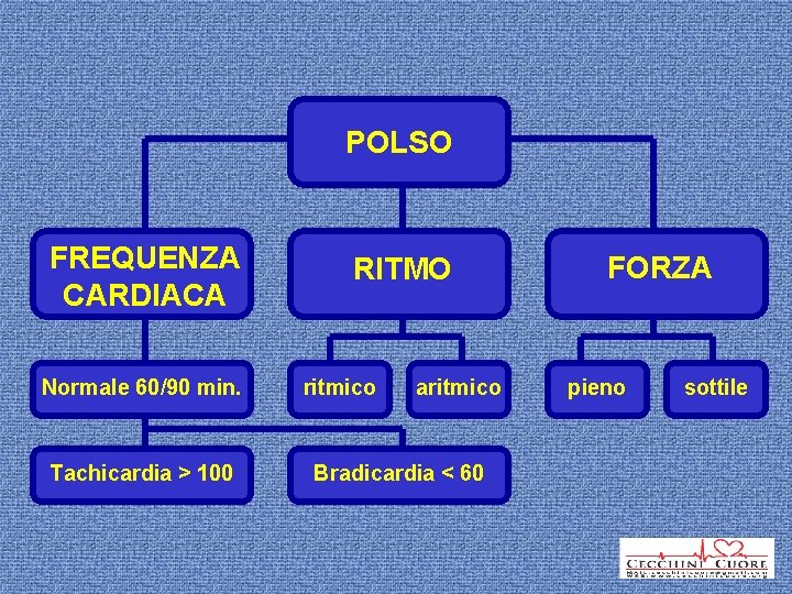 POLSO FREQUENZA CARDIACA Normale 60/90 min. Tachicardia > 100 RITMO ritmico aritmico Bradicardia <