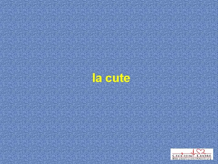 la cute 