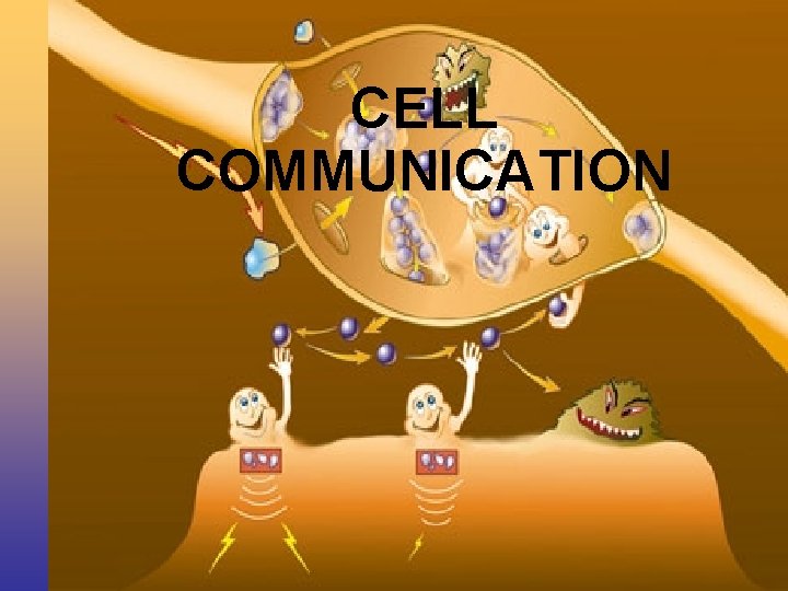 CELL COMMUNICATION 