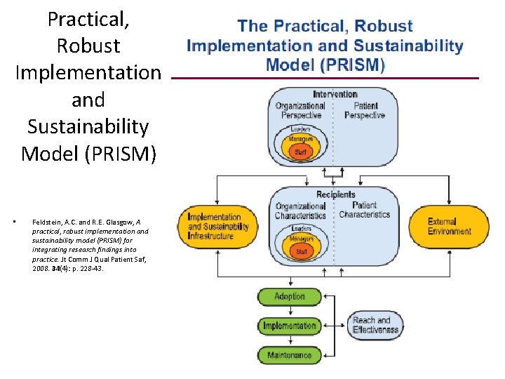 Practical, Robust Implementation and Sustainability Model (PRISM) • Feldstein, A. C. and R. E.
