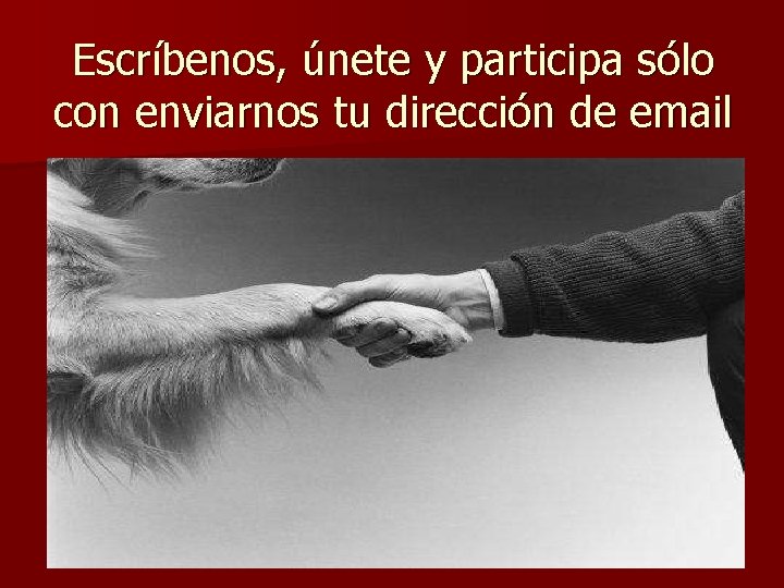 Escríbenos, únete y participa sólo con enviarnos tu dirección de email Escríbenos, únete y participa sólo con enviarnos tu dirección de email