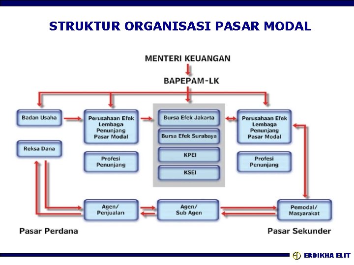 STRUKTUR ORGANISASI PASAR MODAL ERDIKHA ELIT 
