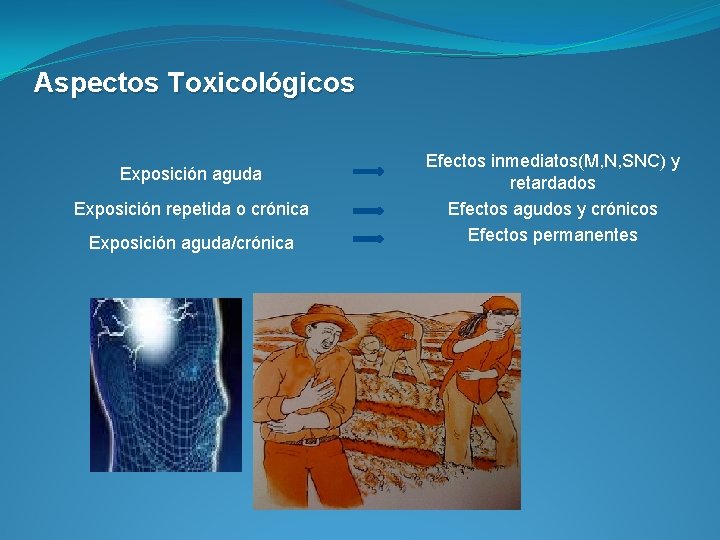 Aspectos Toxicológicos Exposición aguda Exposición repetida o crónica Exposición aguda/crónica Efectos inmediatos(M, N, SNC)