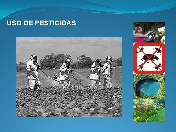 USO DE PESTICIDAS 