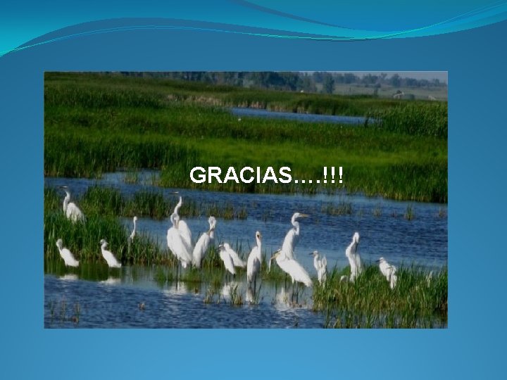 GRACIAS…. !!! 