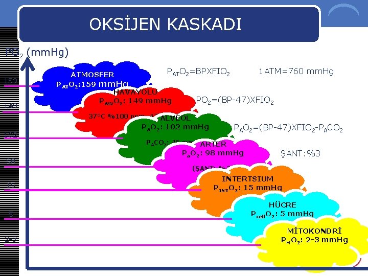 OKSİJEN KASKADI PO 2 (mm. Hg) 159 149 PATO 2=BPXFIO 2 1 ATM=760 mm.