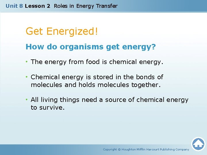 Unit 8 Lesson 2 Roles in Energy Transfer Get Energized! How do organisms get