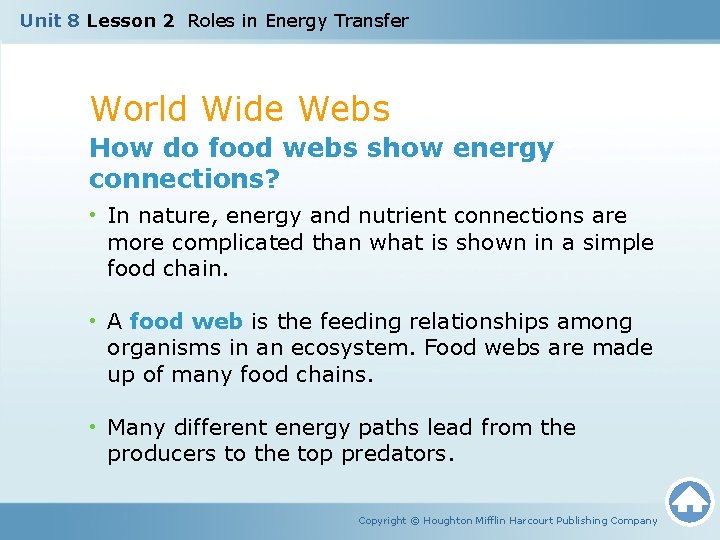 Unit 8 Lesson 2 Roles in Energy Transfer World Wide Webs How do food