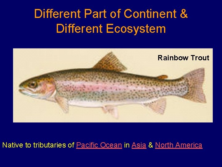 Different Part of Continent & Different Ecosystem Rainbow Trout Native to tributaries of Pacific
