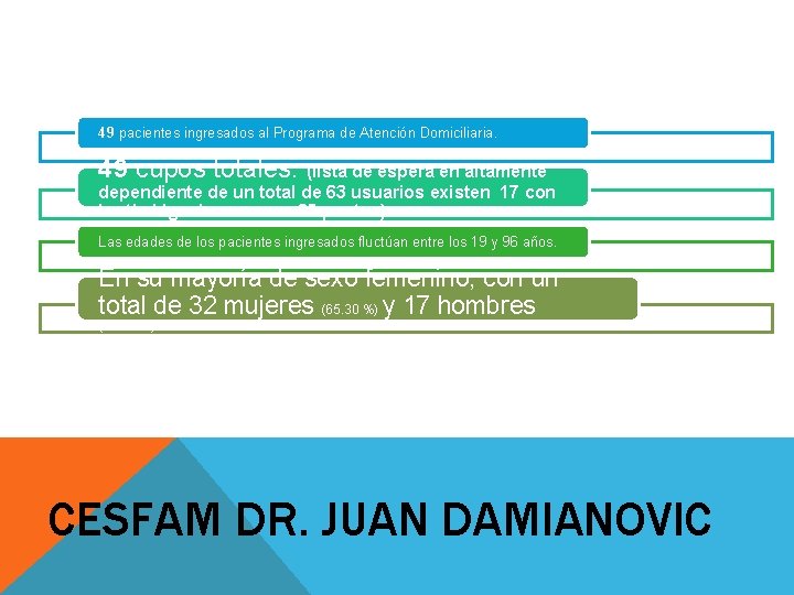 49 pacientes ingresados al Programa de Atención Domiciliaria. 49 cupos totales. (lista de espera