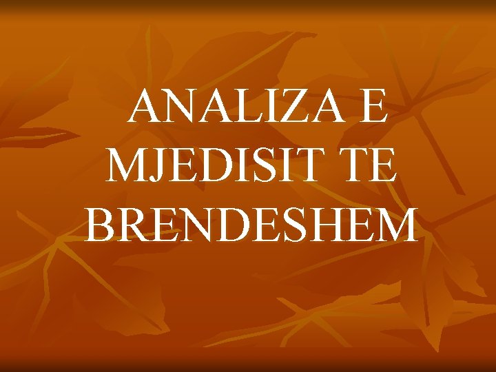 ANALIZA E MJEDISIT TE BRENDESHEM 