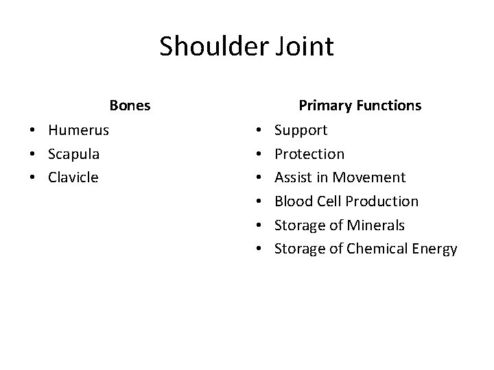 Shoulder Joint Bones • Humerus • Scapula • Clavicle Primary Functions • • •