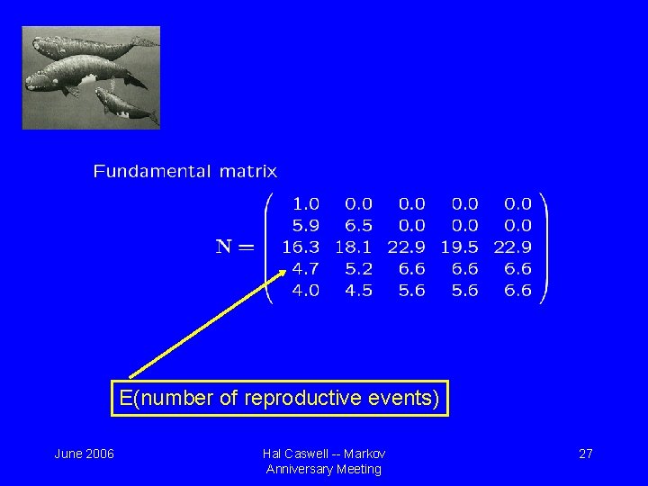 E(number of reproductive events) June 2006 Hal Caswell -- Markov Anniversary Meeting 27 