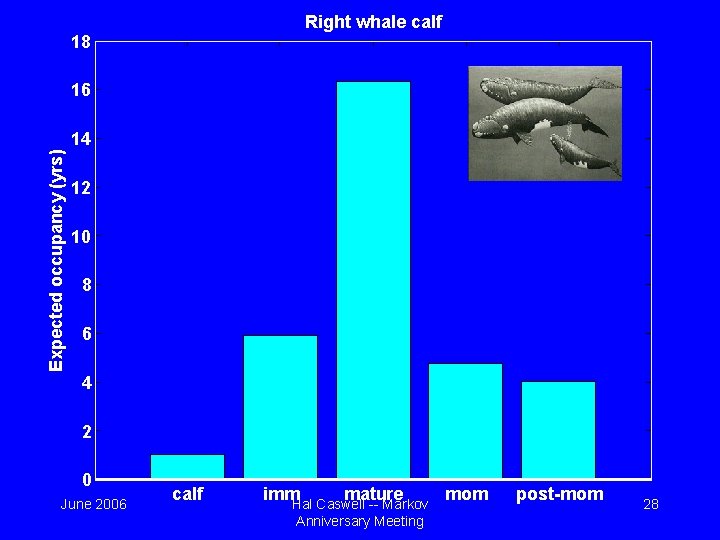 Right whale calf 18 16 Expected occupancy (yrs) 14 12 10 8 6 4