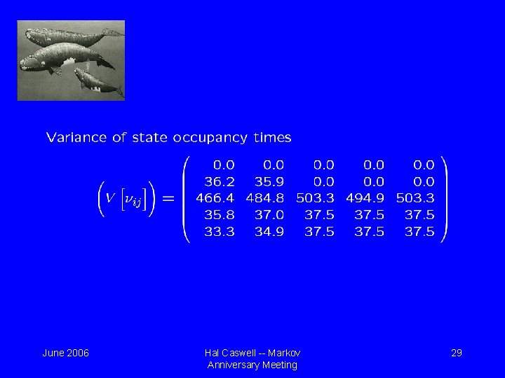 June 2006 Hal Caswell -- Markov Anniversary Meeting 29 