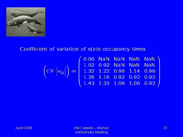 June 2006 Hal Caswell -- Markov Anniversary Meeting 31 