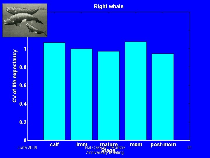 Right whale 1. 4 CV of life expectancy 1. 2 1 0. 8 0.