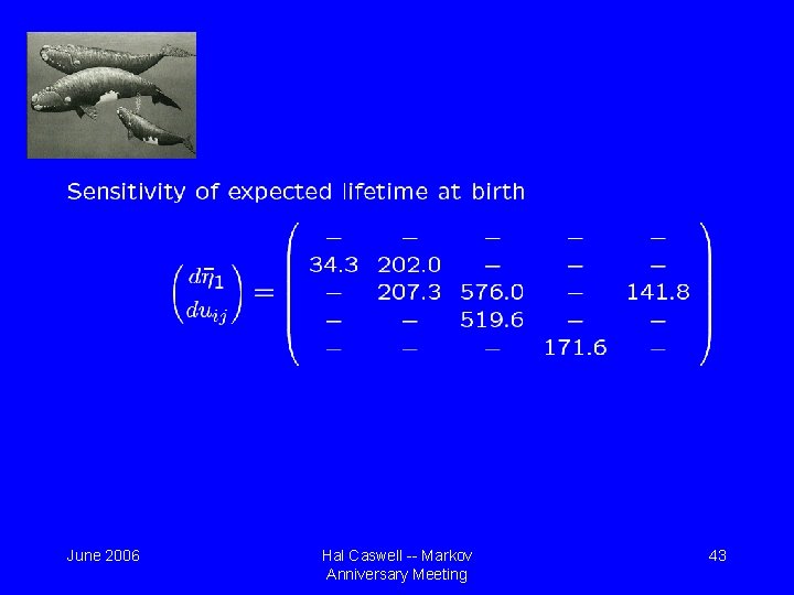 June 2006 Hal Caswell -- Markov Anniversary Meeting 43 
