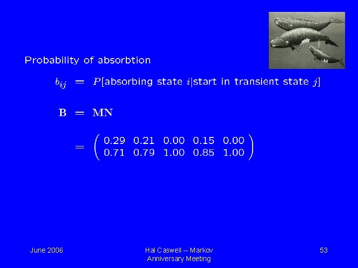 June 2006 Hal Caswell -- Markov Anniversary Meeting 53 