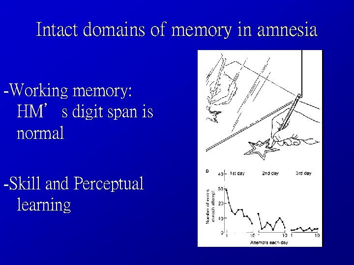 Intact domains of memory in amnesia -Working memory: HM’s digit span is normal -Skill
