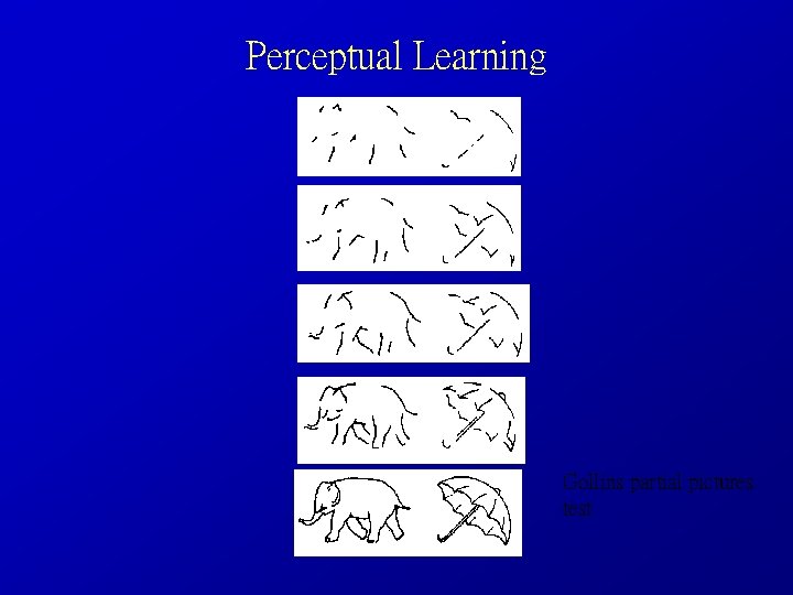 Perceptual Learning Gollins partial pictures test 