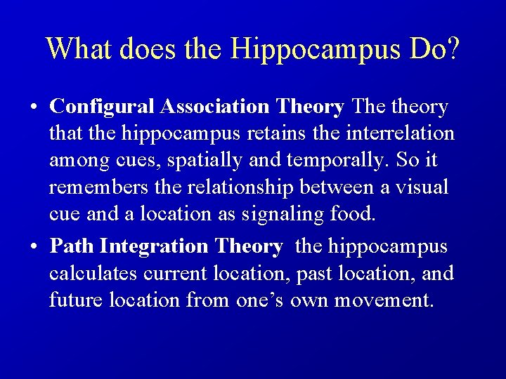What does the Hippocampus Do? • Configural Association Theory The theory that the hippocampus