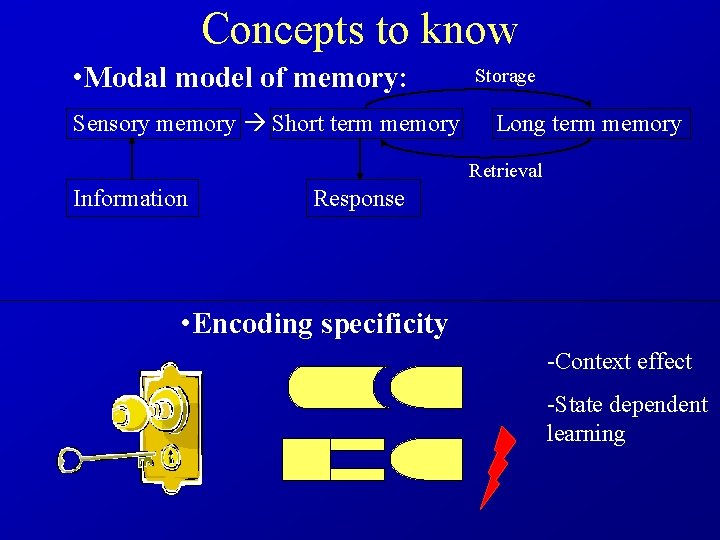 Concepts to know • Modal model of memory: Storage Sensory memory Short term memory