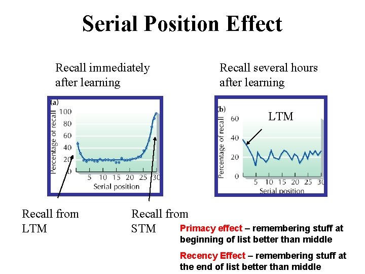 Serial Position Effect Recall immediately after learning Recall several hours after learning LTM Recall