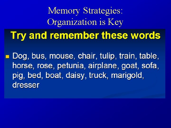 Memory Strategies: Organization is Key 