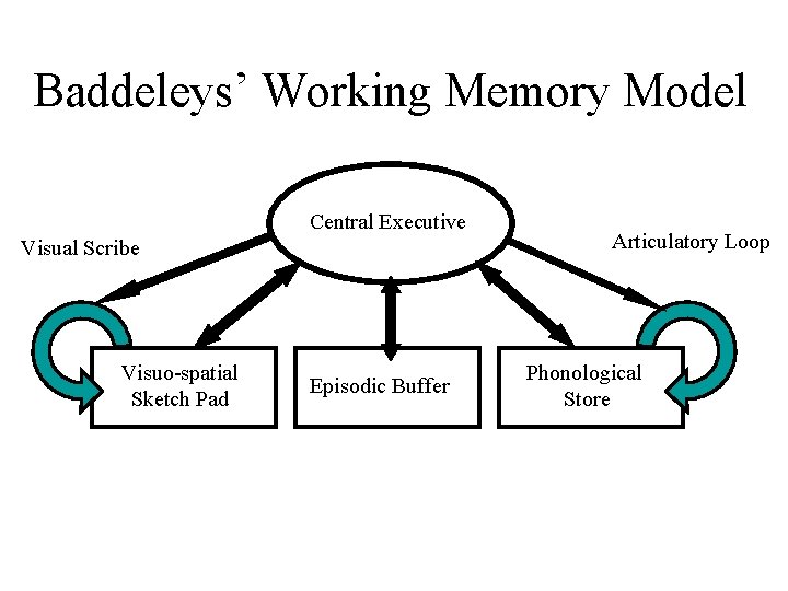 Baddeleys’ Working Memory Model Central Executive Visual Scribe Visuo-spatial Sketch Pad Episodic Buffer Articulatory