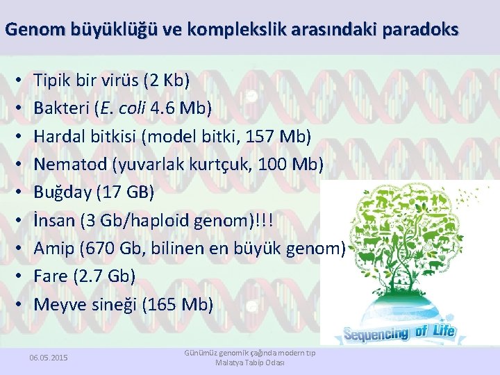 Genom büyüklüğü ve komplekslik arasındaki paradoks • • • Tipik bir virüs (2 Kb)