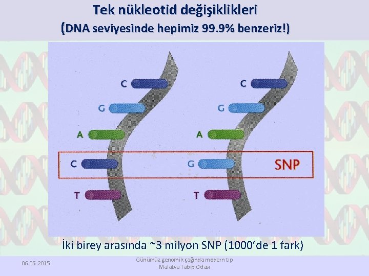 Tek nükleotid değişiklikleri (DNA seviyesinde hepimiz 99. 9% benzeriz!) İki birey arasında ~3 milyon