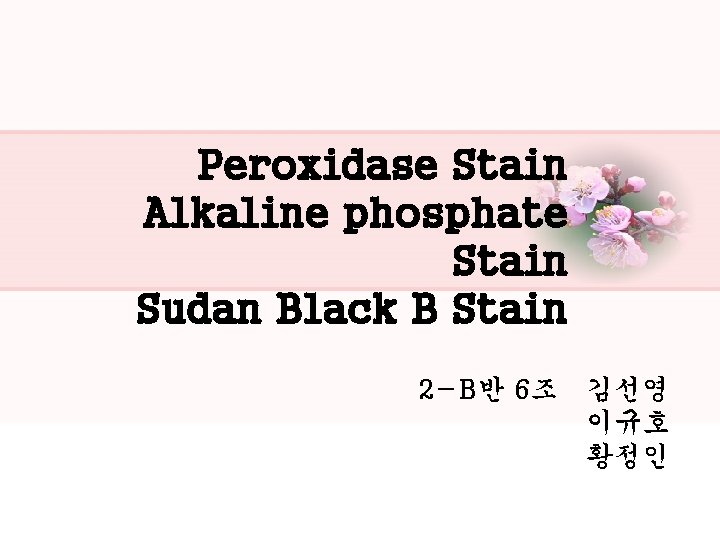 Peroxidase Stain Alkaline phosphate Stain Sudan Black B Stain 2 -B반 6조 김선영 이규호