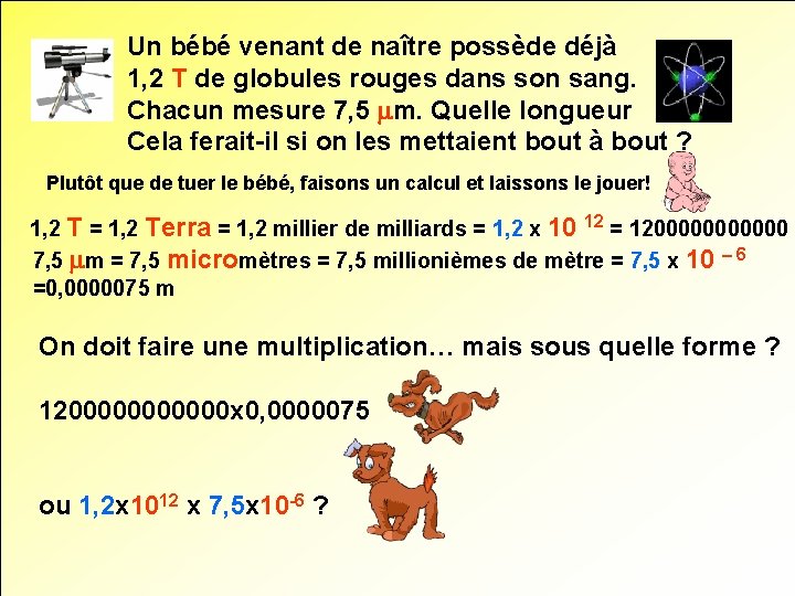 Un bébé venant de naître possède déjà 1, 2 T de globules rouges dans