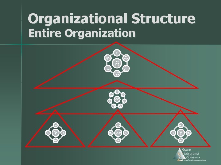 Organizational Structure Entire Organization GM Org Expert Top Circle (TC) OC Expert GC Rep(s