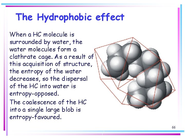 The Hydrophobic effect When a HC molecule is surrounded by water, the water molecules