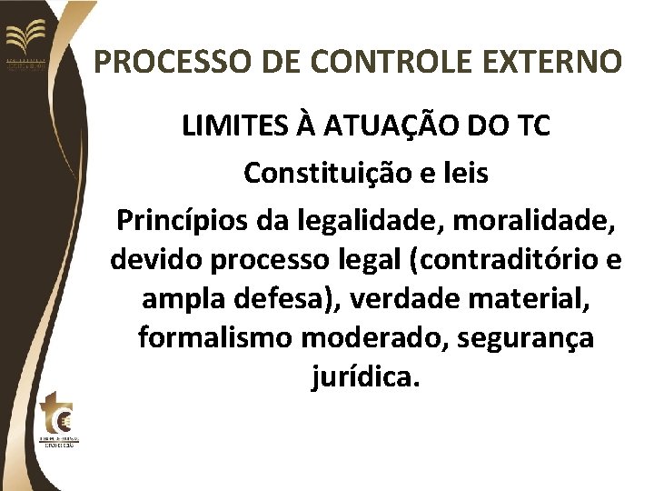 PROCESSO DE CONTROLE EXTERNO LIMITES À ATUAÇÃO DO TC Constituição e leis Princípios da