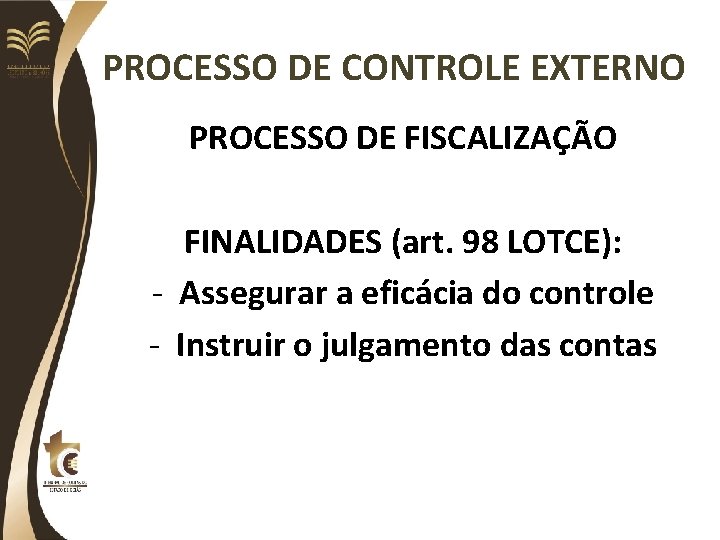 PROCESSO DE CONTROLE EXTERNO PROCESSO DE FISCALIZAÇÃO FINALIDADES (art. 98 LOTCE): - Assegurar a