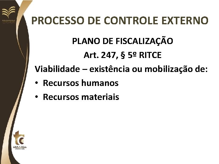 PROCESSO DE CONTROLE EXTERNO PLANO DE FISCALIZAÇÃO Art. 247, § 5º RITCE Viabilidade –