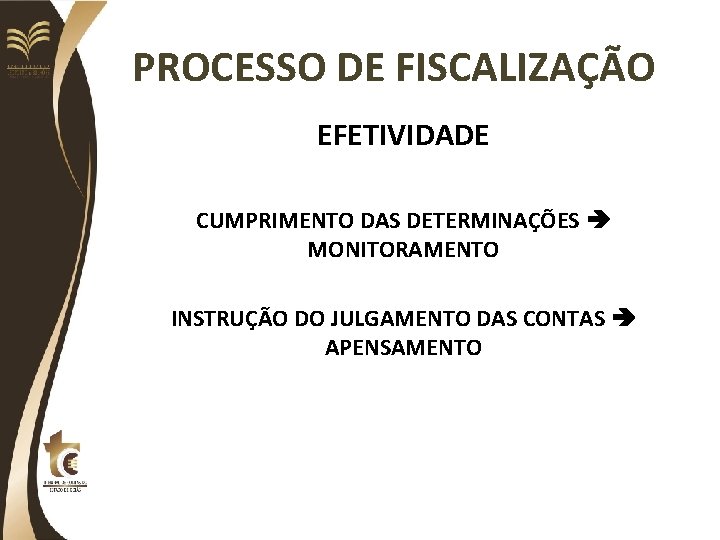 PROCESSO DE FISCALIZAÇÃO EFETIVIDADE CUMPRIMENTO DAS DETERMINAÇÕES MONITORAMENTO INSTRUÇÃO DO JULGAMENTO DAS CONTAS APENSAMENTO