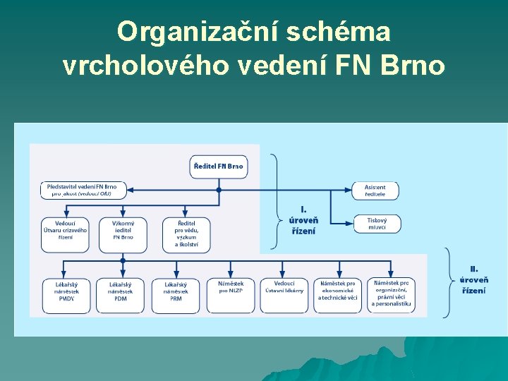 Organizační schéma vrcholového vedení FN Brno 